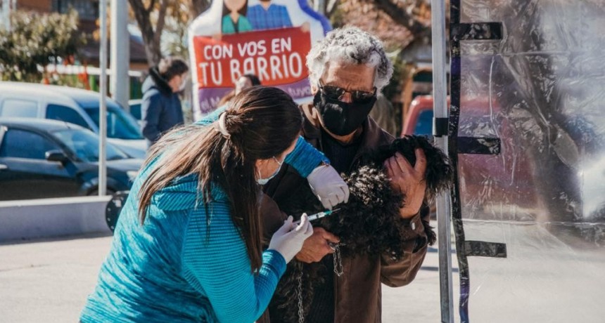 Vacunación antirrábica: informan el cronograma de la semana próxima