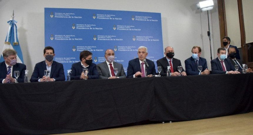 El Gobierno anunció que el lunes se reanudan las exportaciones de carne a China