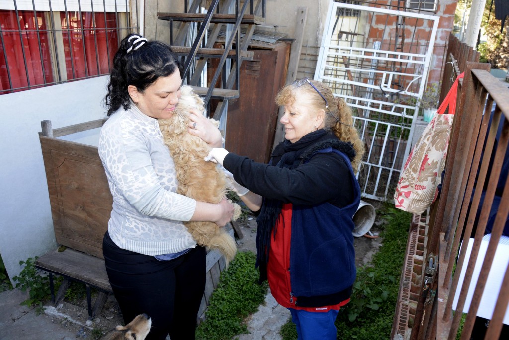  Tras aparición de un murciélago con rabia, el Municipio ya vacunó a más de 100 perros y gatos en Don Francisco