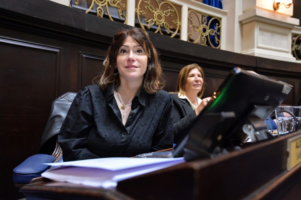 Soledad Alonso presentó un proyecto en Diputados contra el recorte a las asignaciones del Presupuesto 2026