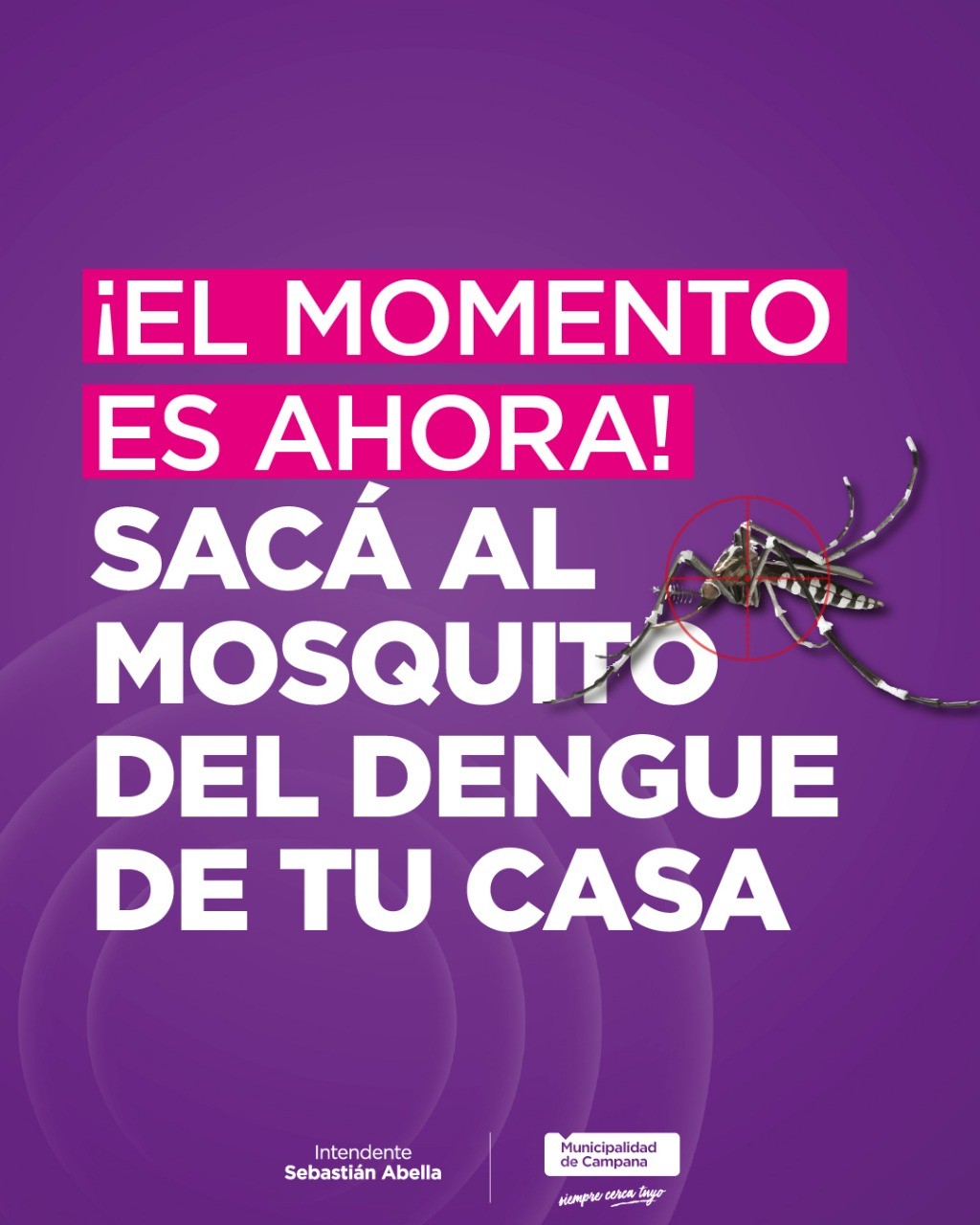 Dengue: con la llegada de la primavera, destacan la importancia de extremar los cuidados en las viviendas