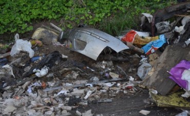 Vuelven a limpiar un basural ilegal en la Av. Ricardo Rojas