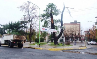 El Municipio trabaj&oacute; en la limpieza y desobstrucci&oacute;n  de sumideros y bocas de tormentas
