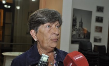 Felisa D&iacute;az  &ldquo;Los subsidios provinciales se van a cobrar&rdquo;