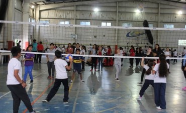 Unos 170 alumnos participaron del Torneo Intercolegial de V&oacute;ley   
