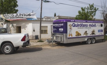 Quirófano móvil: el Municipio informa el cronograma de castración para los barrios