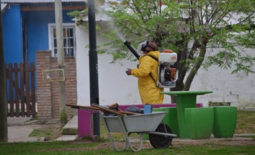 Comenz&oacute; el operativo de fumigaci&oacute;n contra la gata peluda