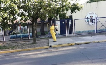 Zoonosis refuerza el operativo de fumigaci&oacute;n contra la "gata peluda"