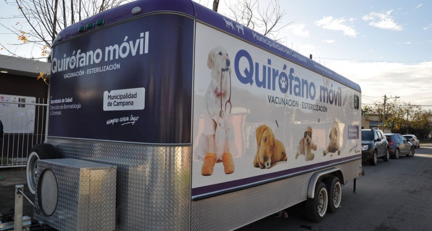 San Jacinto: el quir&oacute;fano m&oacute;vil visitar&aacute; el barrio para castrar mascotas