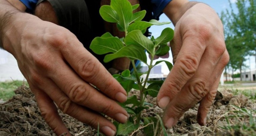Anuncian nuevos talleres del programa Pro-Huerta