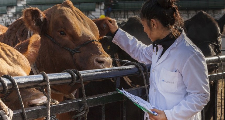 SANIDAD Y BIENESTAR ANIMAL VETERINARIOS PRIVADOS DEBER&Aacute;N ESTAR REGISTRADOS ANTES DE FIN DE A&Ntilde;O