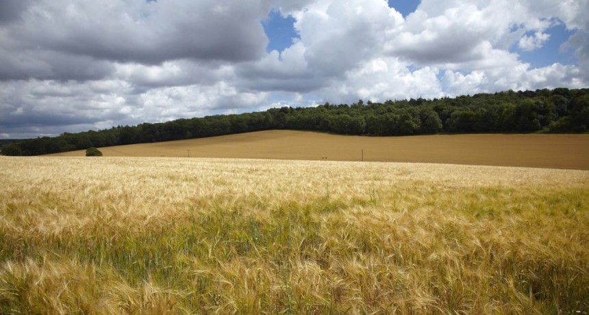 Syngenta se compromete con 2000 millones de d&oacute;lares y establece nuevos objetivos de innovaci&oacute;n para abordar el cambio clim&aacute;tico  