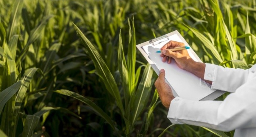 La Oficina de Empleo Municipal lanza una nueva búsqueda laboral