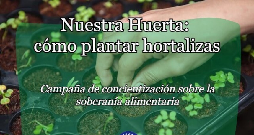 El Frente Grande de Campana promueve la construcción de huertas familiares