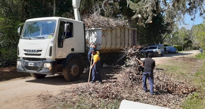 Importante operativo de recolección de ramas en el barrio Parque Natura