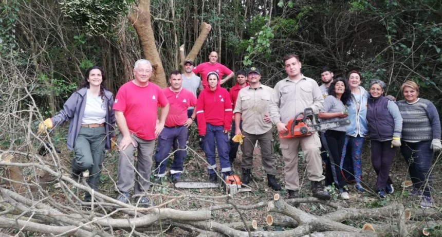 Defensa Civil participó de una jornada de trabajo para erradicar especies exóticas invasoras del Parque Nacional Ciervo de los Pantanos
