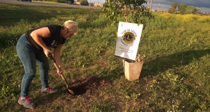 El Club de Leones de Campana plantó un árbol en el Barrio 104