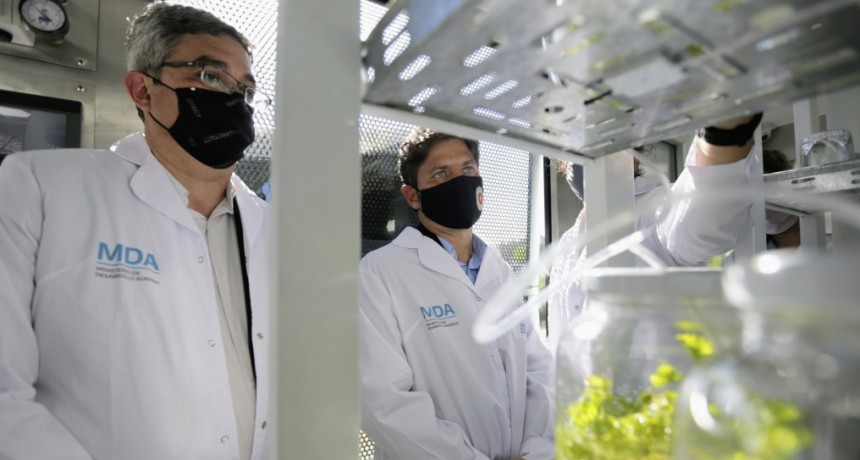 DESARROLLO AGRARIO : Kicillof inauguró un laboratorio de multiplicación vegetal en Mercedes 