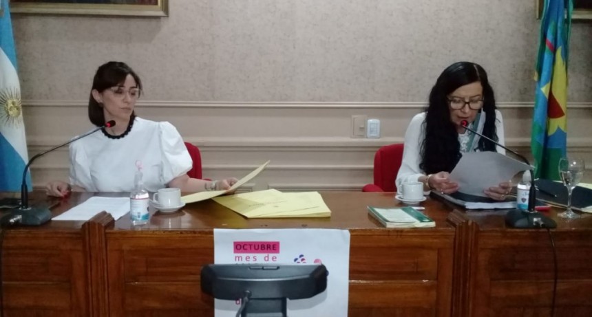 Se realizó la sesión ordinaria del Honorable Concejo Deliberante