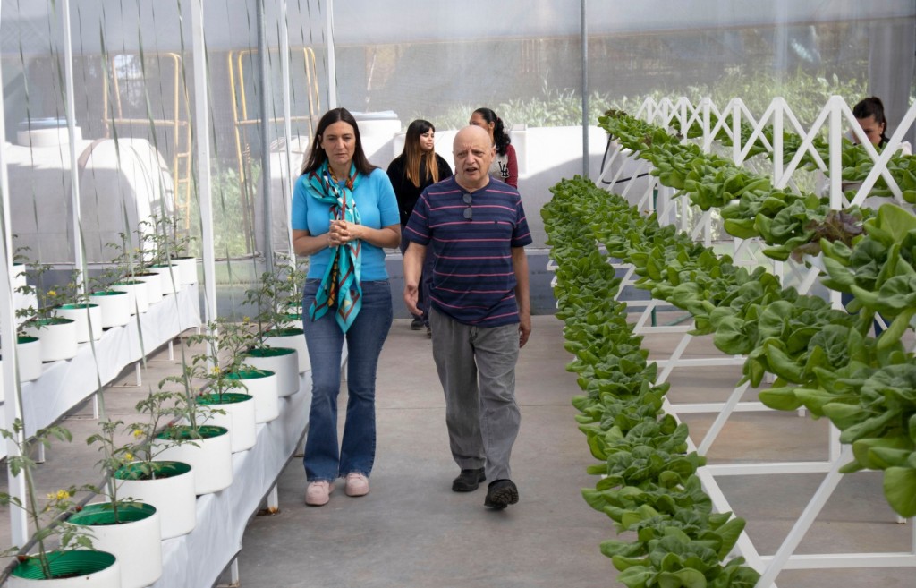 Nueva cosecha de hortalizas en la Huerta Hidropónica de Casa Esperanza    