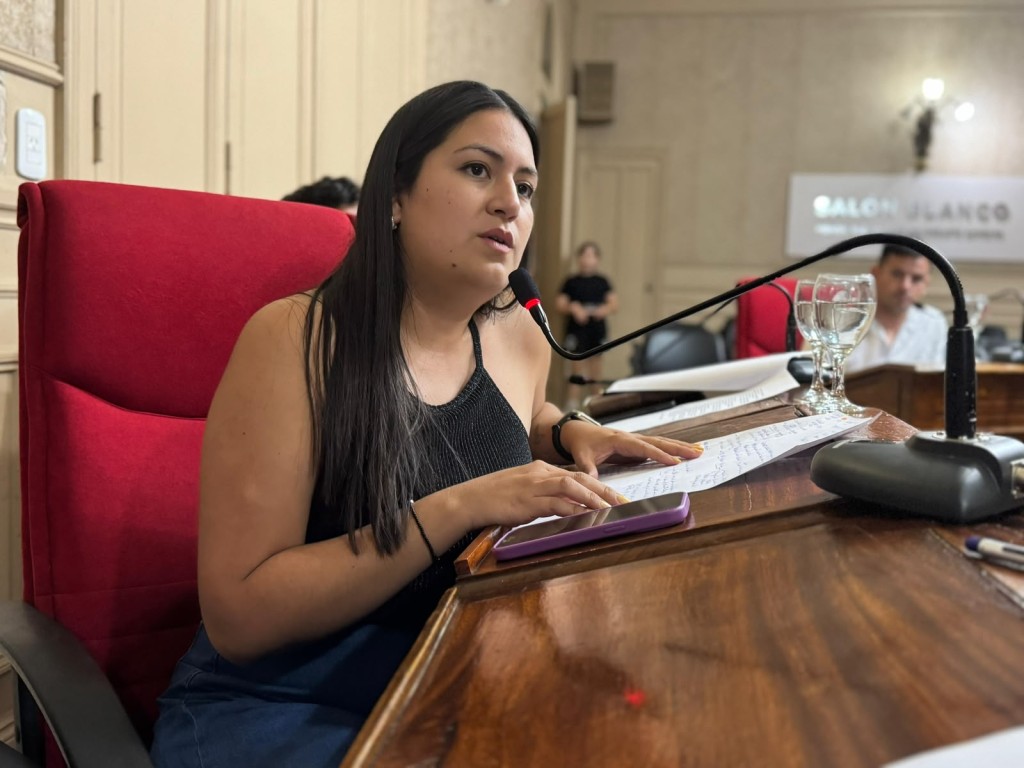 Ram&iacute;rez: "Al igual que Milei, para Abella y sus concejales, el endeudamiento de los campanenses no es urgente ni preocupante"