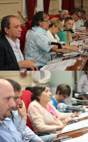 Marat�nica Sesi�n del Honorable Concejo Deliberante