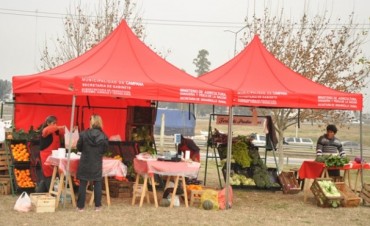 La Plazoleta del Barrio D&aacute;lmine Viejo recibe hoy a los Productores Locales