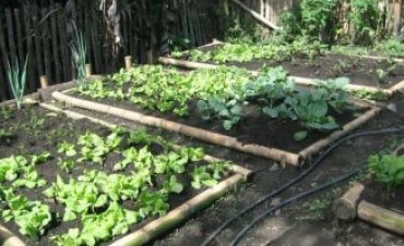 Este jueves comienzan los talleres del programa Pro-Huerta