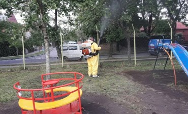 Contin&uacute;an los operativos de fumigaci&oacute;n contra la "gata peluda"