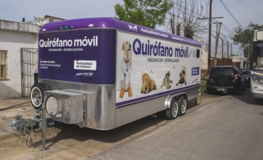 Las castraciones que realiza el Quir&oacute;fano M&oacute;vil son totalmente gratuitas