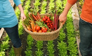 Los talleres del programa Pro-Huerta contin&uacute;an esta semana 