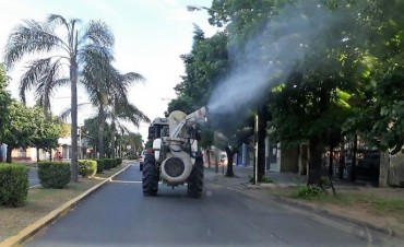 &ldquo;Gatas peludas&rdquo;: el Municipio fumigar&aacute; el interior de escuelas y jardines de infantes p&uacute;blicos