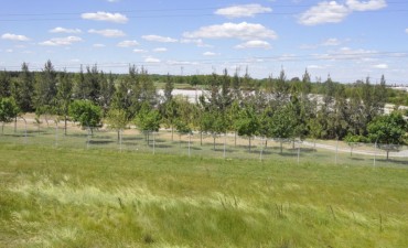 Estadio Villa D&aacute;lmine: Abella y Tenaris alcanzaron un acuerdo superador para concretar el canje  