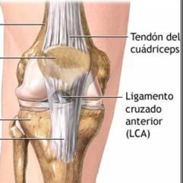 Jorge Papini: hicimos la resonancia magn�tica al Jugador Alarc�n