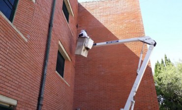 El Municipio colabor&oacute; para extraer un panal de abejas de una escuela