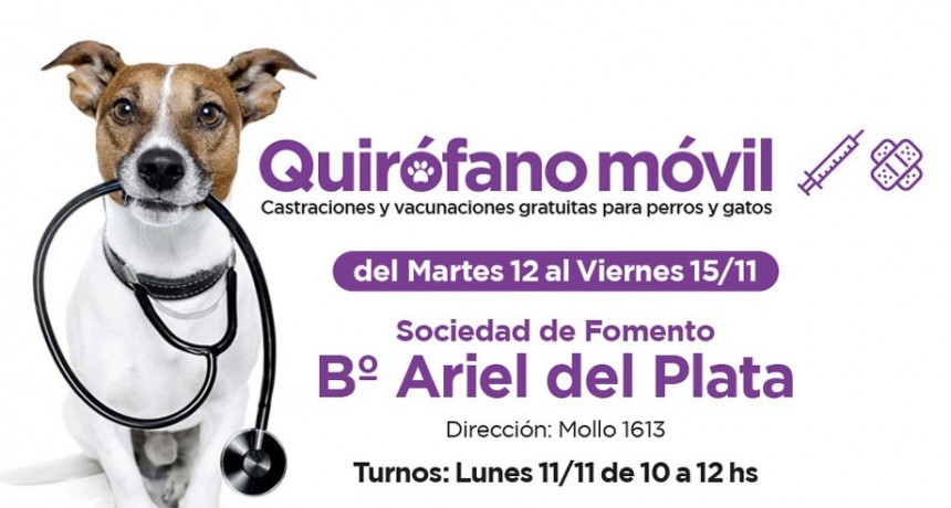 El quir&oacute;fano m&oacute;vil estar&aacute; la semana pr&oacute;xima en Ariel del Plata