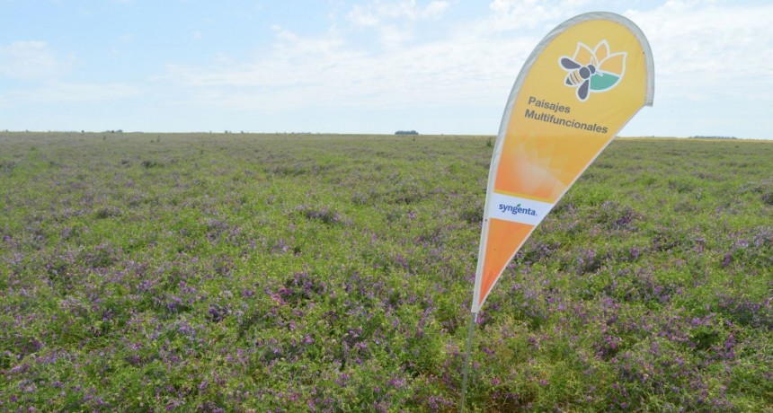 Conceptualizar la biodiversidad como un insumo agr&iacute;cola.