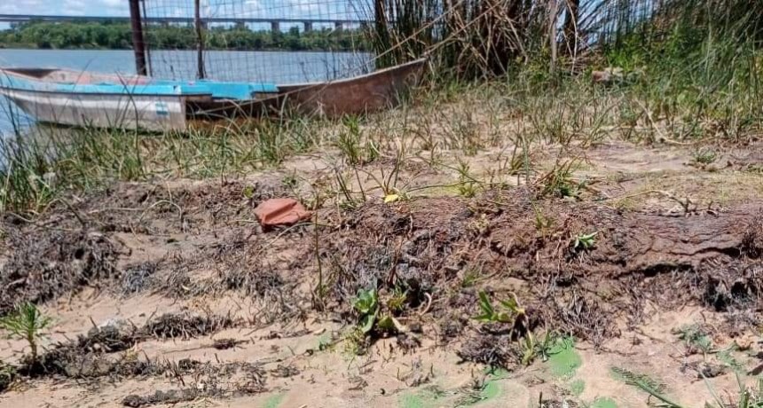 Defensa Civil brinda recomendaciones ante la presencia de toxinas en el Río Paraná 