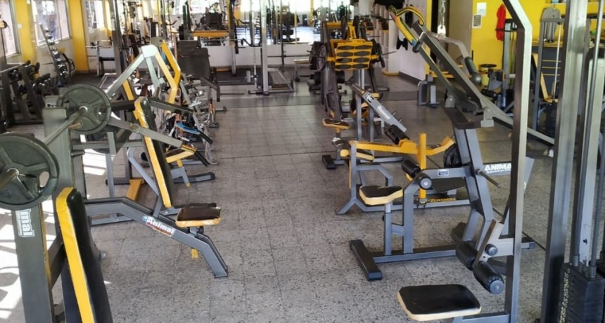 Apertura de gimnasios: denuncian trolls  y falsa campaña en las redes sociales