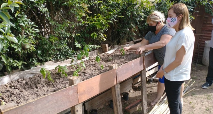 Huertas comunitarias ya están en marcha en nuestra ciudad