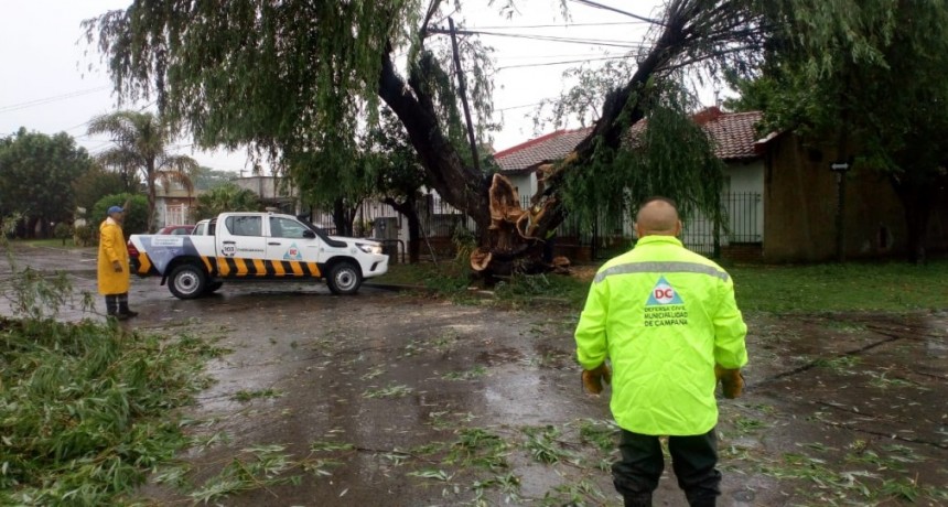 Intensos trabajos del Municipio tras el fuerte temporal