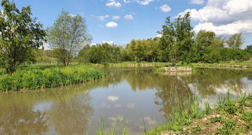 Toyota presentó su Programa de Innovación en Economía Circular junto al Reporte de Sustentabilidad 2020 