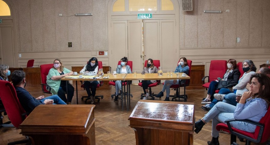 El Consejo de Género y Violencia Familiar se volvió a reunir para analizar proyectos