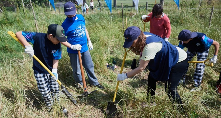Naturgy concluyó la edición 2021 de los programas Sembrando Futuro y Cuidemos Nuestros Recursos
