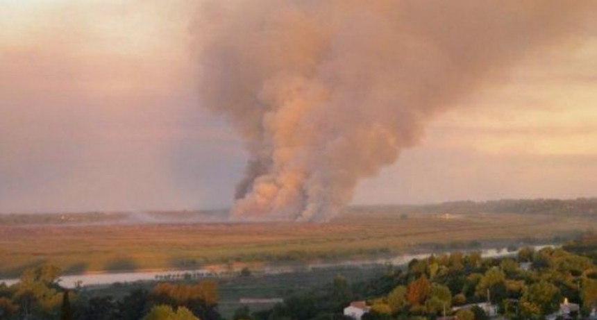 Se combatió definitivamente el incendio en el Parque Nacional Ciervo de los Pantanos 