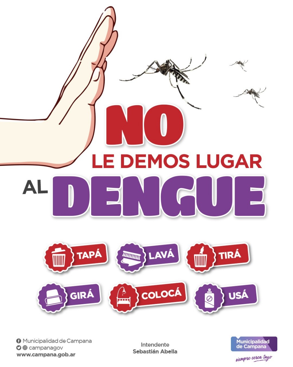 Dengue: recuerdan la importancia de fortalecer las medidas de prevención y cuidado desde casa