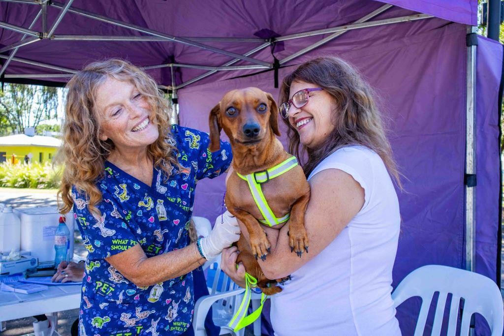 El Municipio impulsó una nueva campaña de vacunación contra la rabia para mascotas