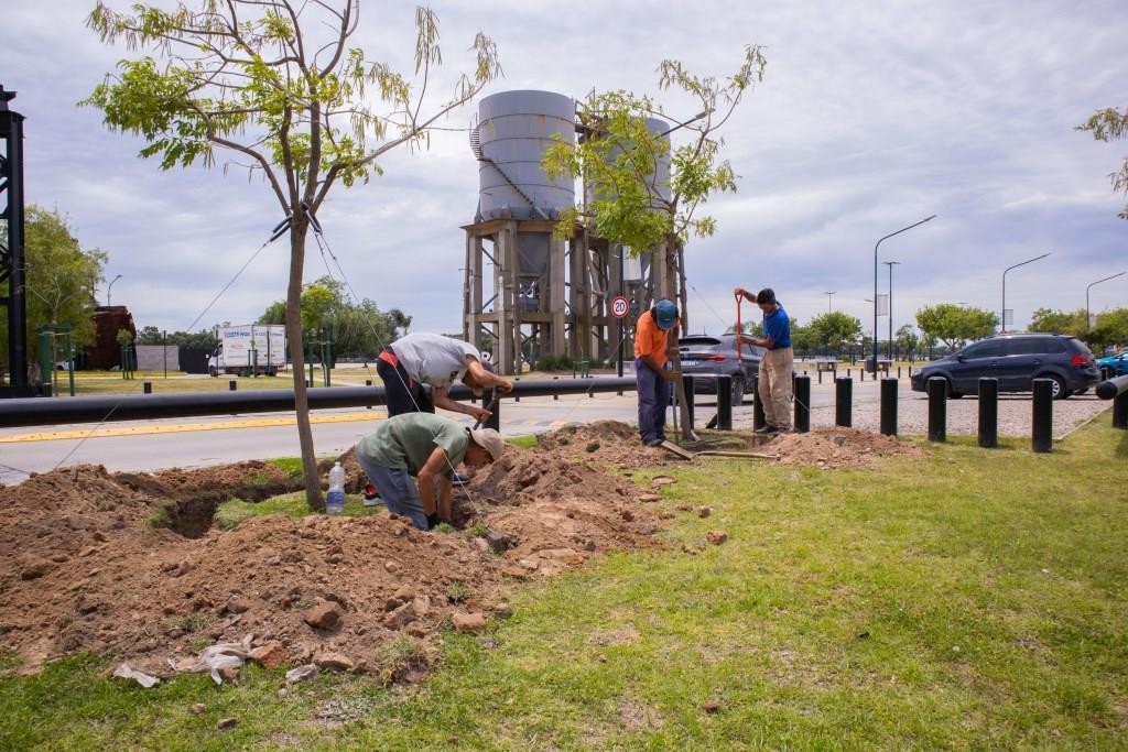 El Municipio amplía las áreas de estacionamiento en la Costanera