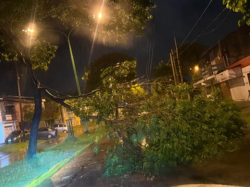 Intensos trabajos de Defensa Civil tras el fuerte temporal del domingo a la madrugada