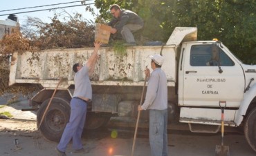 Servicios P&uacute;blicos del Municipio realiz&oacute; tareas de limpieza y mantenimiento en Barrio Del Pino